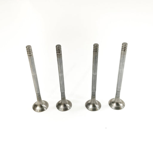 828003 Outlet valve