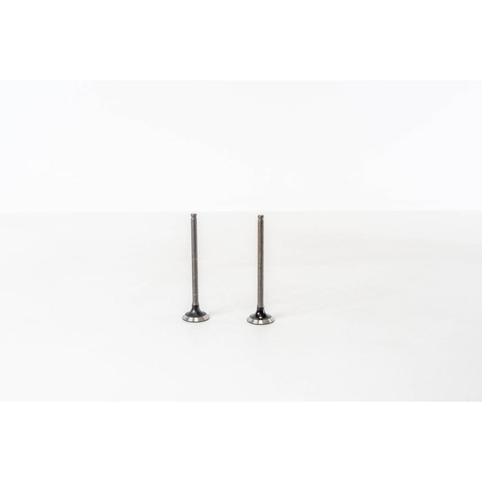 828011 Outlet valve