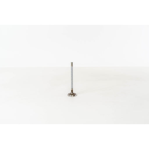 828013 Inlet Valve