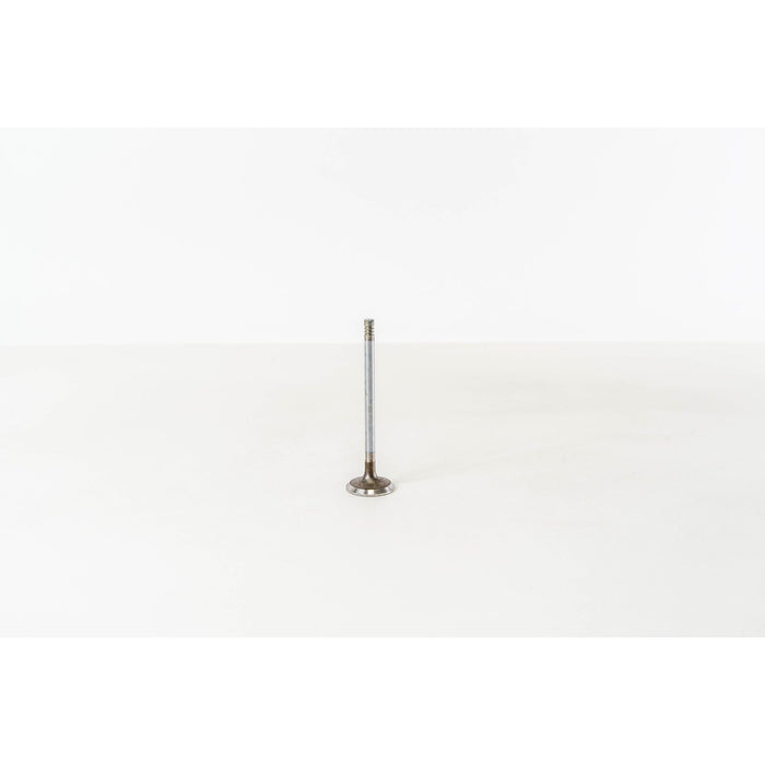 828013 Inlet Valve