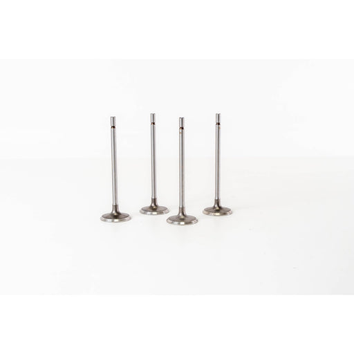 828014 Inlet Valve