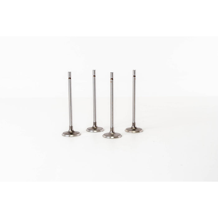 828014 Inlet Valve