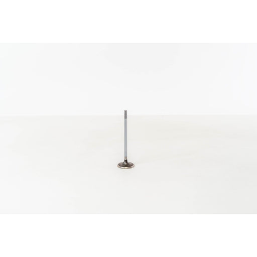 828021 Inlet Valve