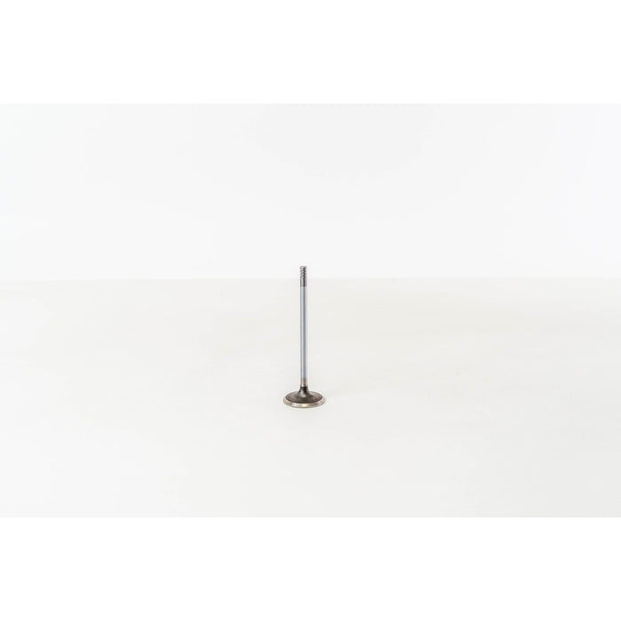 828021 Inlet Valve
