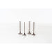 828024 Inlet Valve