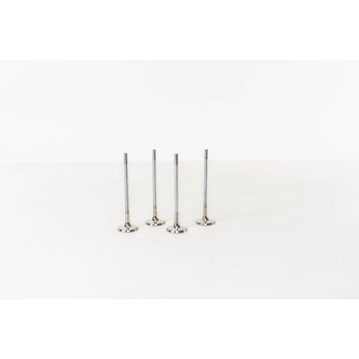 828025 Outlet valve