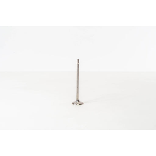 828027 Outlet valve