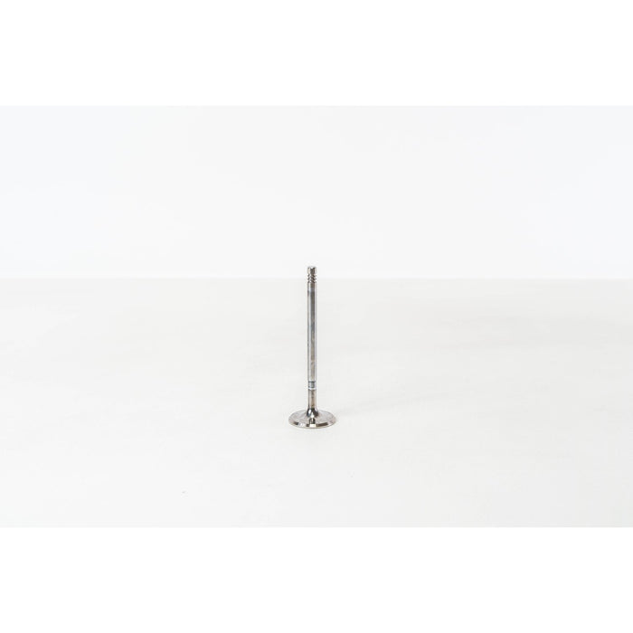 828029 Inlet Valve