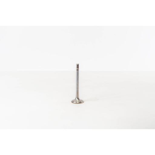 828036 Outlet valve