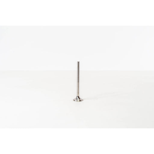 828037 Outlet valve