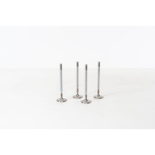 828039 Inlet Valve
