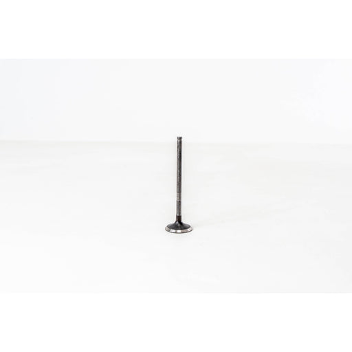 828063 Outlet valve