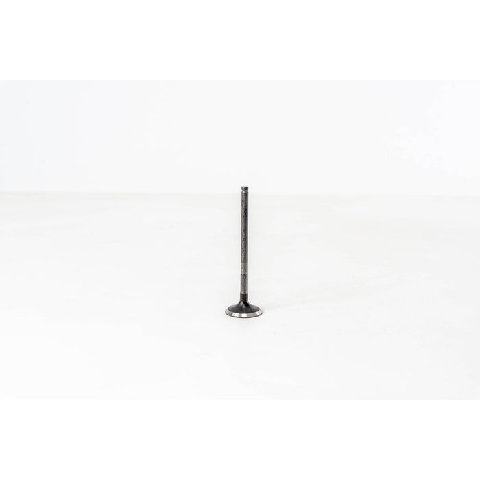 828063 Outlet valve
