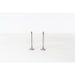 828065 Inlet Valve