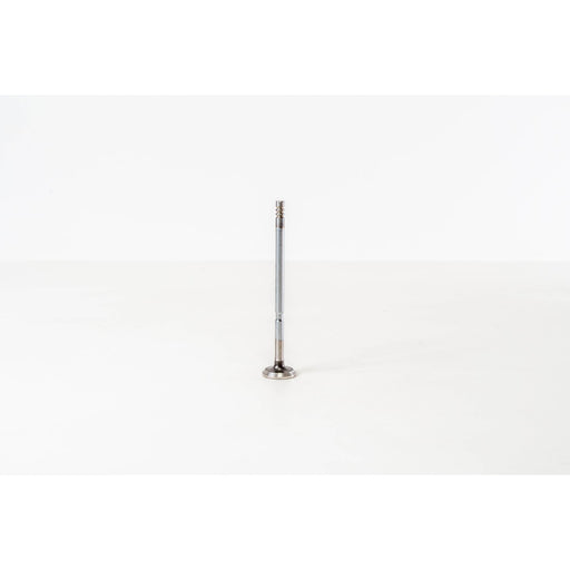 828073 Outlet valve