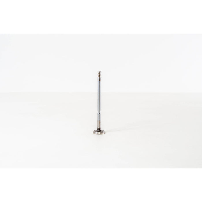 828073 Outlet valve