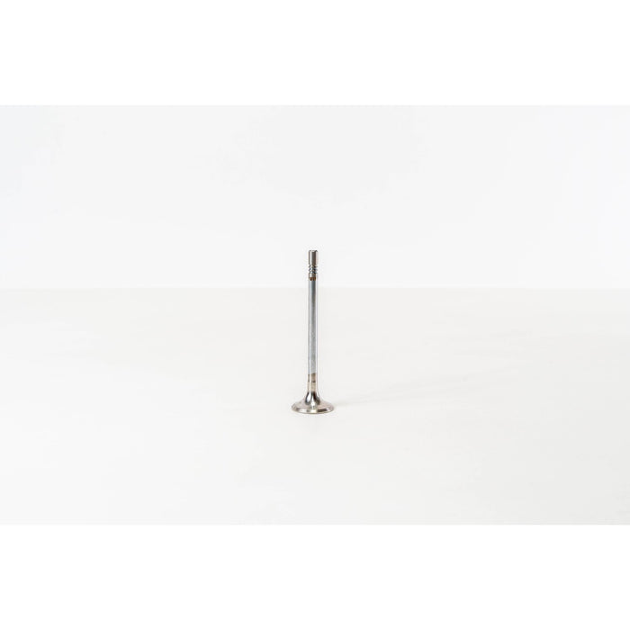 828080 Outlet valve