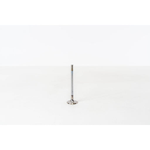 828093 Inlet Valve