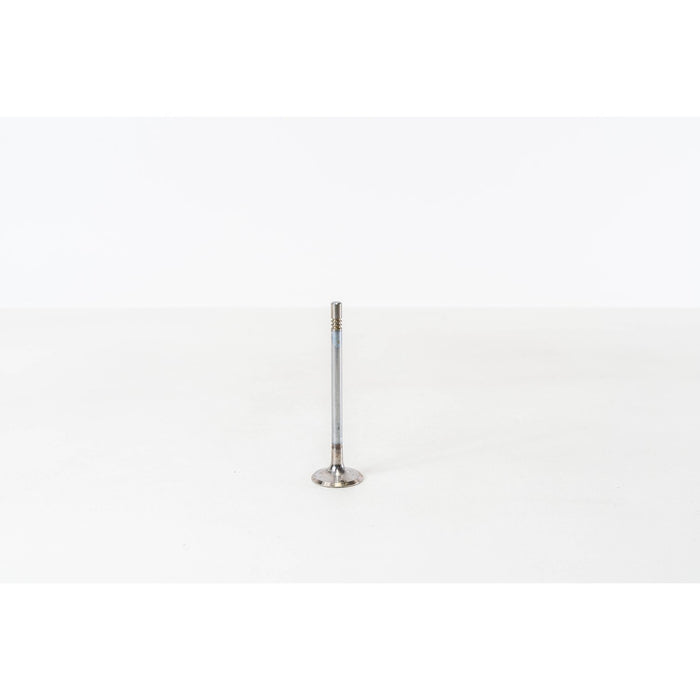828093 Inlet Valve