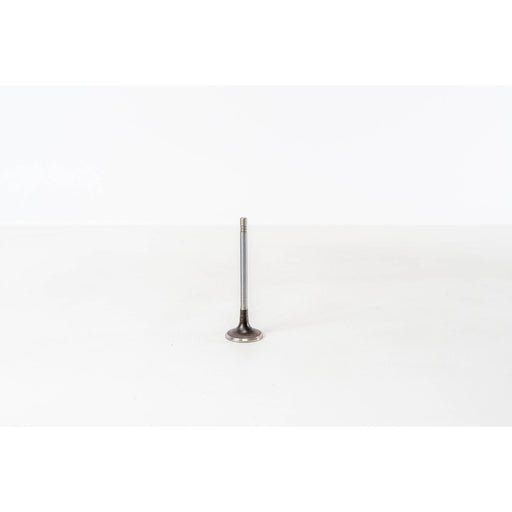 828102 Inlet Valve