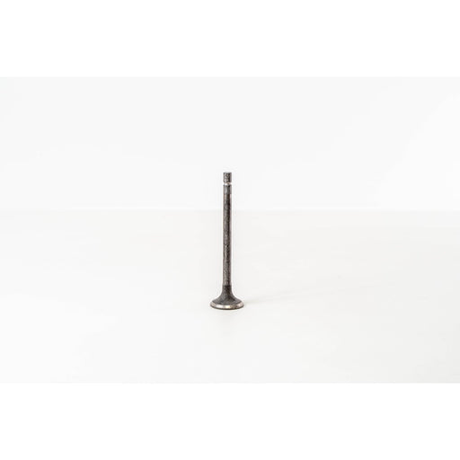 828109 Outlet valve