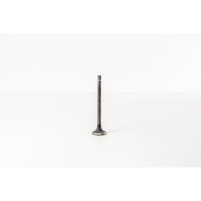 828109 Outlet valve
