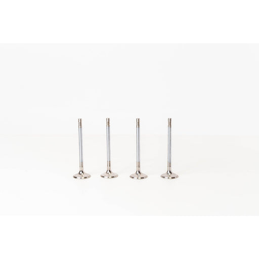828113 Outlet valve