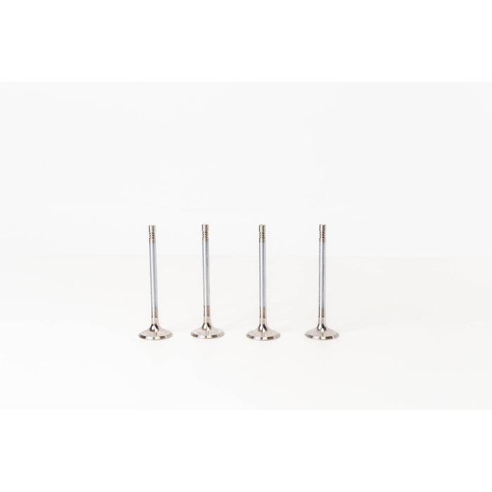 828113 Outlet valve