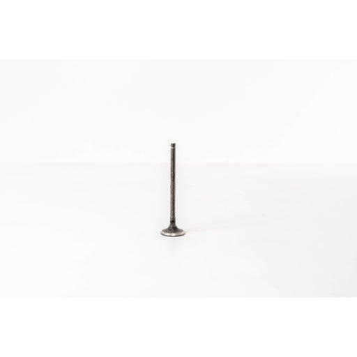 828128 Outlet valve