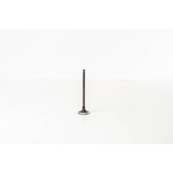 828128 Outlet valve