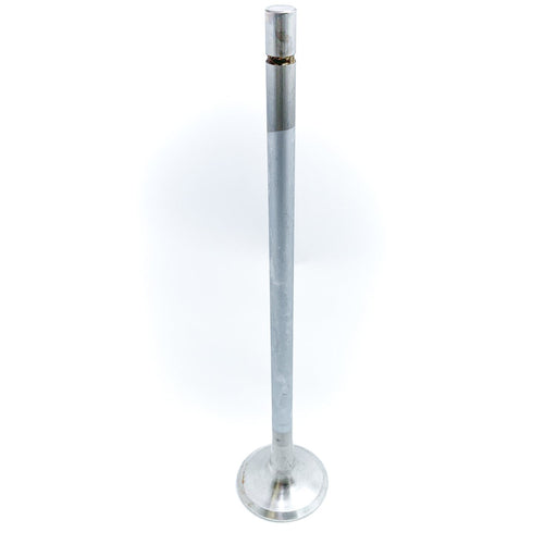 828137 Outlet valve