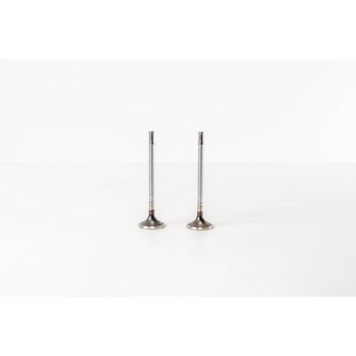 828143 Outlet valve