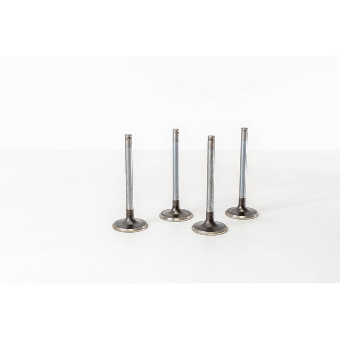 828147 Inlet Valve