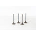 828147 Inlet Valve