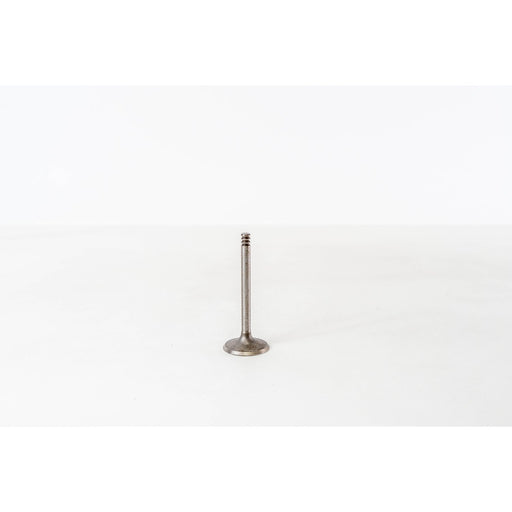 828162 Inlet Valve