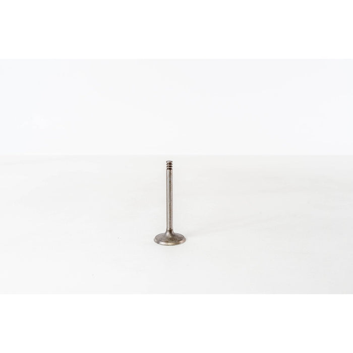 828162 Inlet Valve
