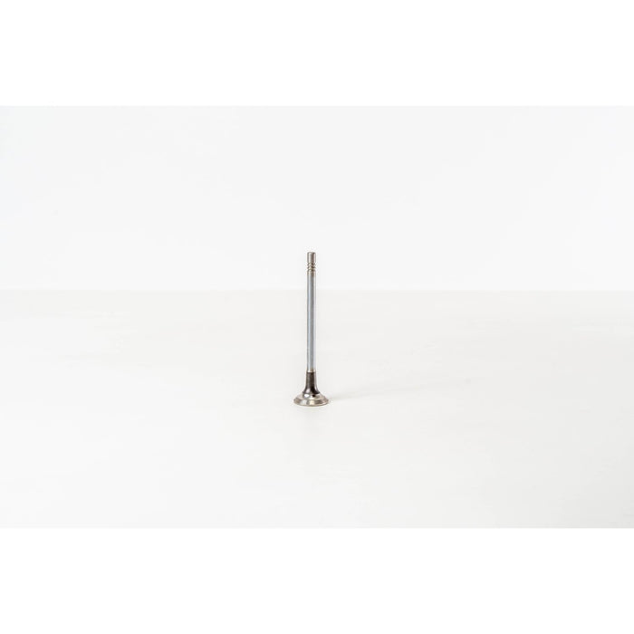 828168 Outlet valve
