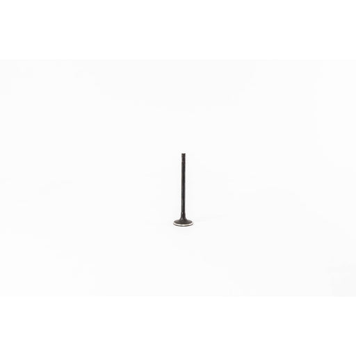 828189 Inlet Valve