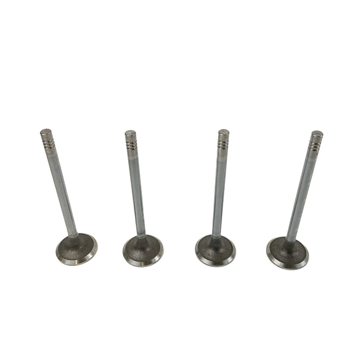 828216 Inlet Valve