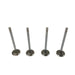 828216 Inlet Valve