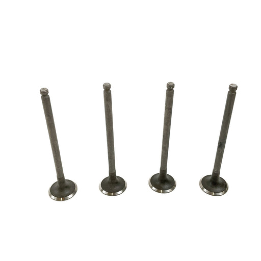 828243 Outlet valve