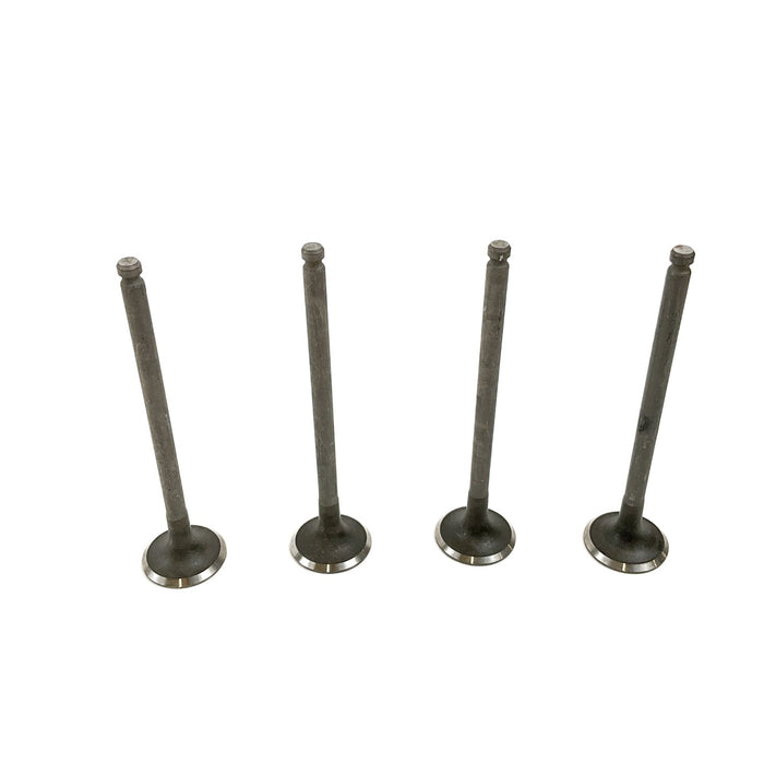 828243 Outlet valve