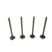 828243 Outlet valve
