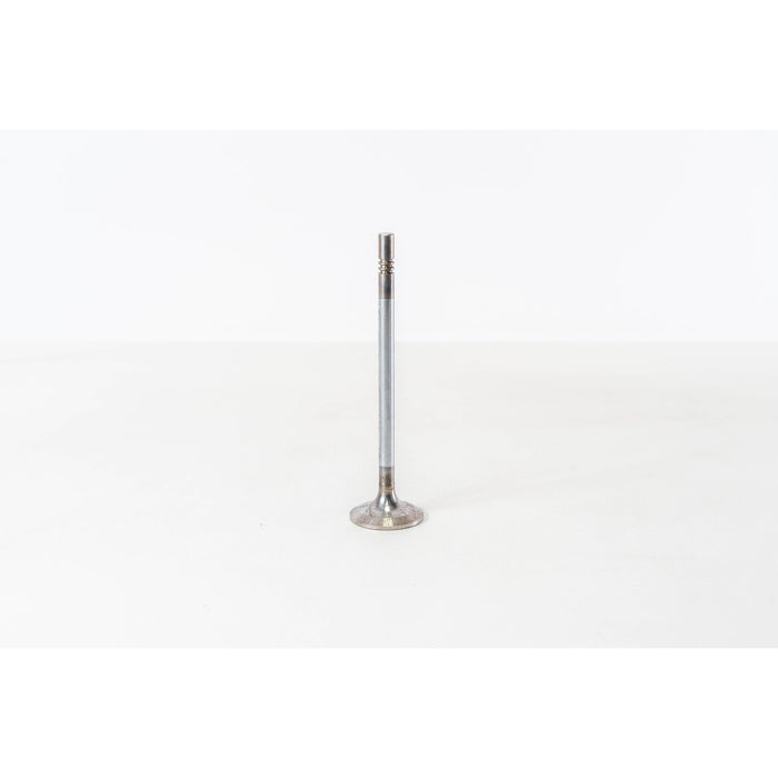 828251 Inlet Valve