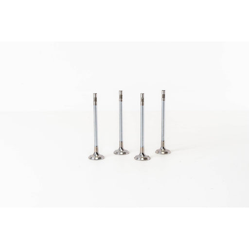 828258 Inlet Valve