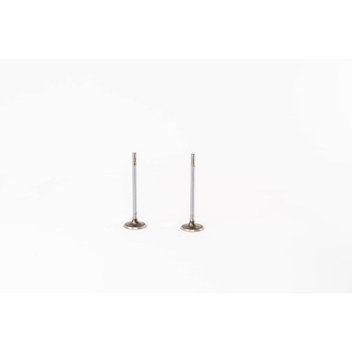 828273 Inlet Valve