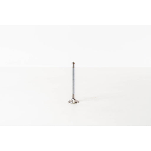 828274 Outlet valve