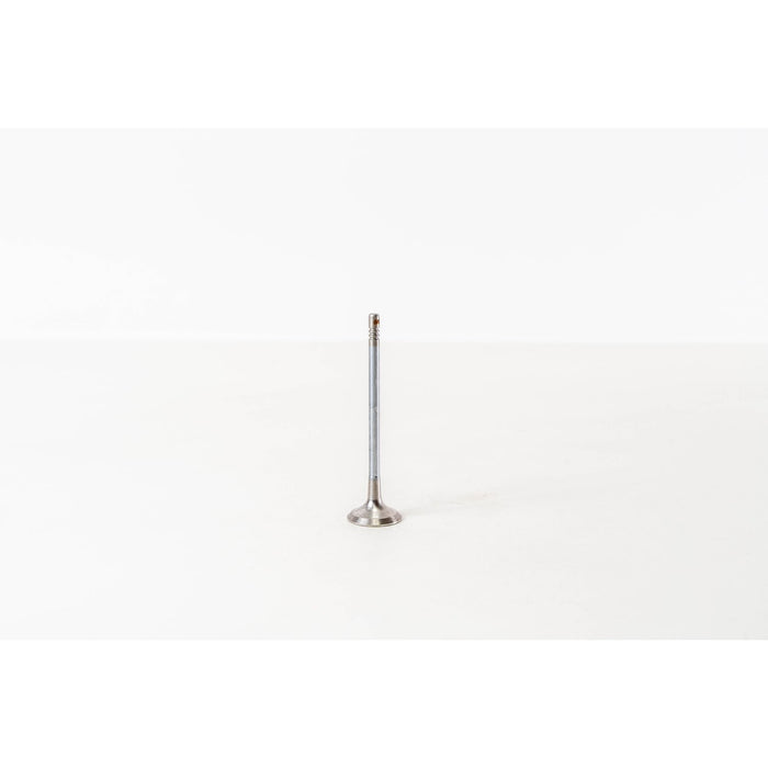 828274 Outlet valve