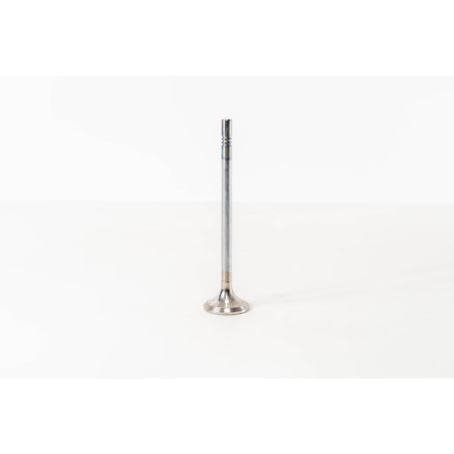 828293 Outlet valve