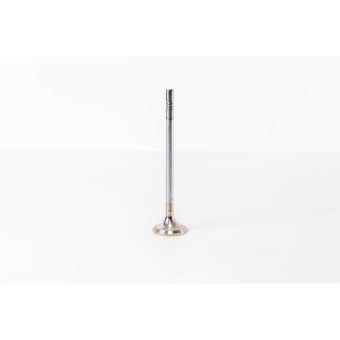 828293 Outlet valve